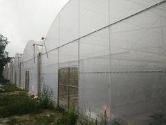 -洪湖家庭农场·团建·露营·会议