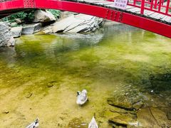 -黑龙潭风景区