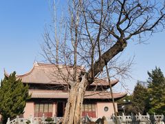 -苏州文庙(姑苏区)