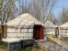 -九十九顶毡房(阜石路店)