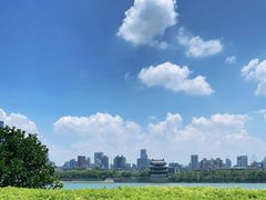 -杜甫江阁