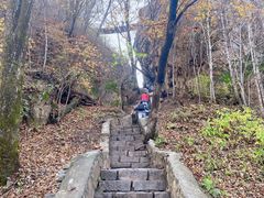 -香炉山国家森林公园