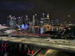 -新加坡瑞士史丹福酒店