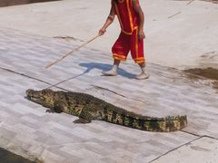 -白洋淀景区