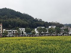 -红山村