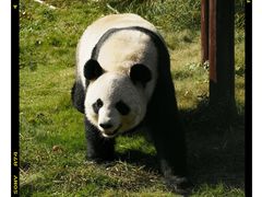 -杭州野生动物世界