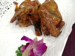 红烧乳鸽-桃源尚品海鲜酒楼(京港澳高速店)