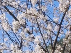 -南京珍珠泉风景区