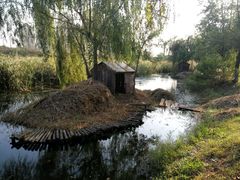 -前关湿地公园