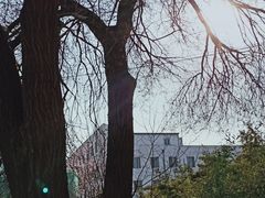 -中国医科大学附属盛京医院大连医院(总院)