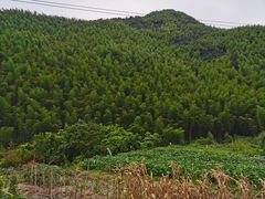 -将军关探险漂流