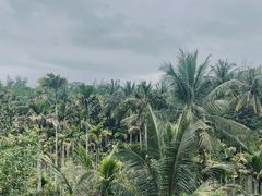 -万兴启丰椰子文化园餐厅