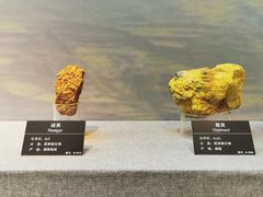 -甘肃地质博物馆