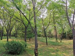 -森林公园(尖草坪区)