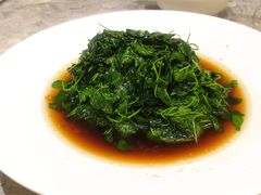 -老绍兴养和饭店(向阳不夜城店)