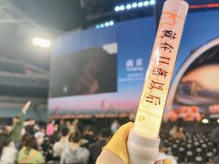 -南京奥林匹克体育中心-体育馆