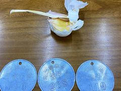-回坊马二饺子馆