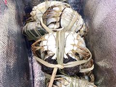 -蟹状元大闸蟹·年货·粽子(成都成华店)