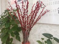 -Cocodemer女性健康·产后恢复(天一广场店)