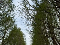 -嘉北郊野公园