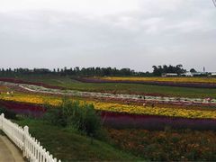 -紫颐香薰山谷景区