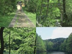 -青龙山国家森林公园