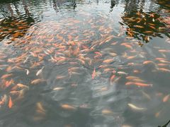 -长春市南湖公园