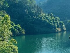 -佛山市三水区大南山森林公园