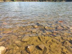 -东莞市虎英郊野公园