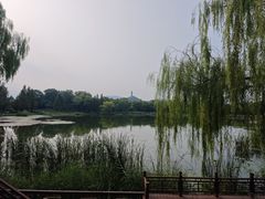-北坞公园