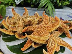 -川骄海鲜自助(王府井奥莱UP TOWN店原世界之花店)