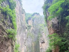 -王莽岭风景区