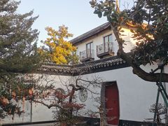 -东山雕花楼