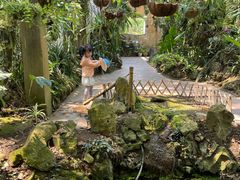 -中国科学院西双版纳热带植物园