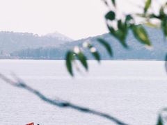 -巢湖姥山岛