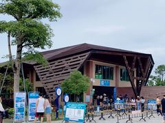 -广东惠东海龟国家级自然保护区
