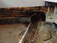 -元代水闸遗址博物馆