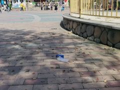 -祥源·阜阳生态乐园