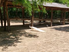 -秦皇岛野生动物园
