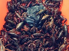 -鑫朱雀农贸批发市场