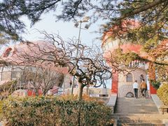 -信号山公园