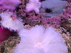 -泉州海丝野生动物世界