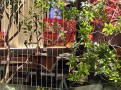 -杏花村水席楼·洛阳水席(老城十字街店)