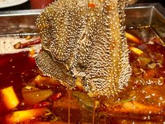 -红鼎坊·老成都火锅(新南门店)