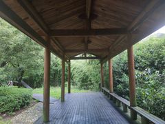 -东海大峡谷