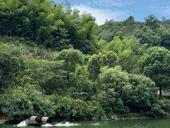 -安吉涵田度假村·水榭居中餐厅