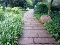 DSC01852-广州珠江公园