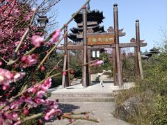 -杭州半山国家森林公园