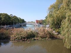 -溱湖国家湿地公园