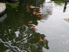 -长阳创谷
